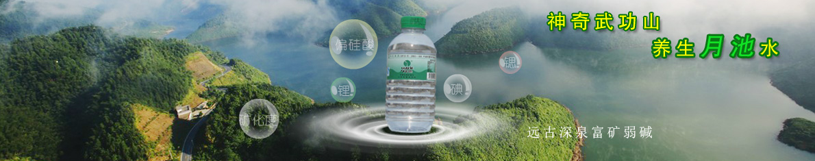 反應(yīng)型發(fā)泡催化劑在制備高絕熱、高抗壓聚氨酯硬泡中的應(yīng)用與性能研究